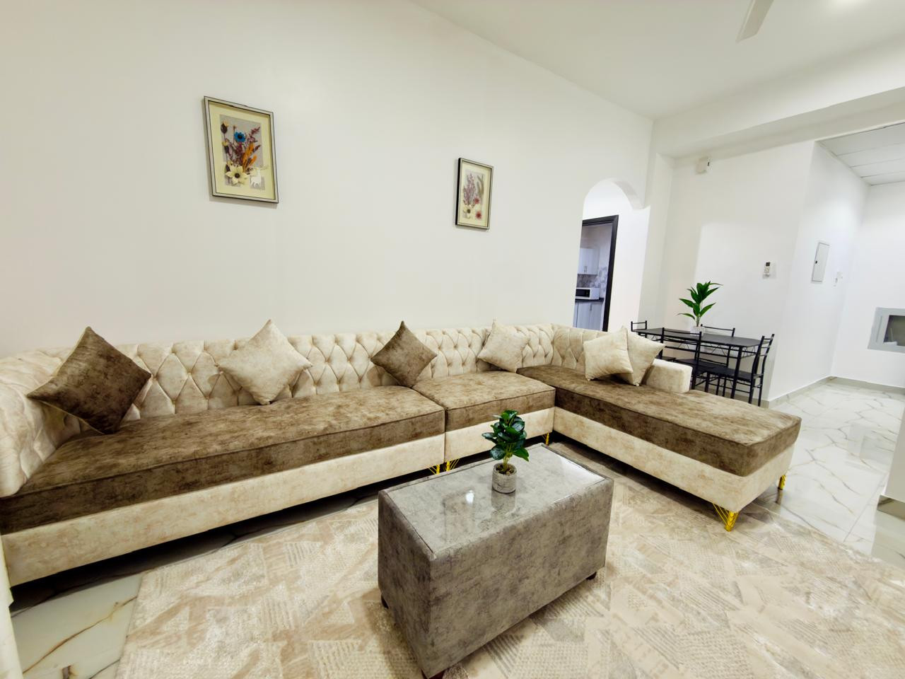 alrashdy361780013000.jpg