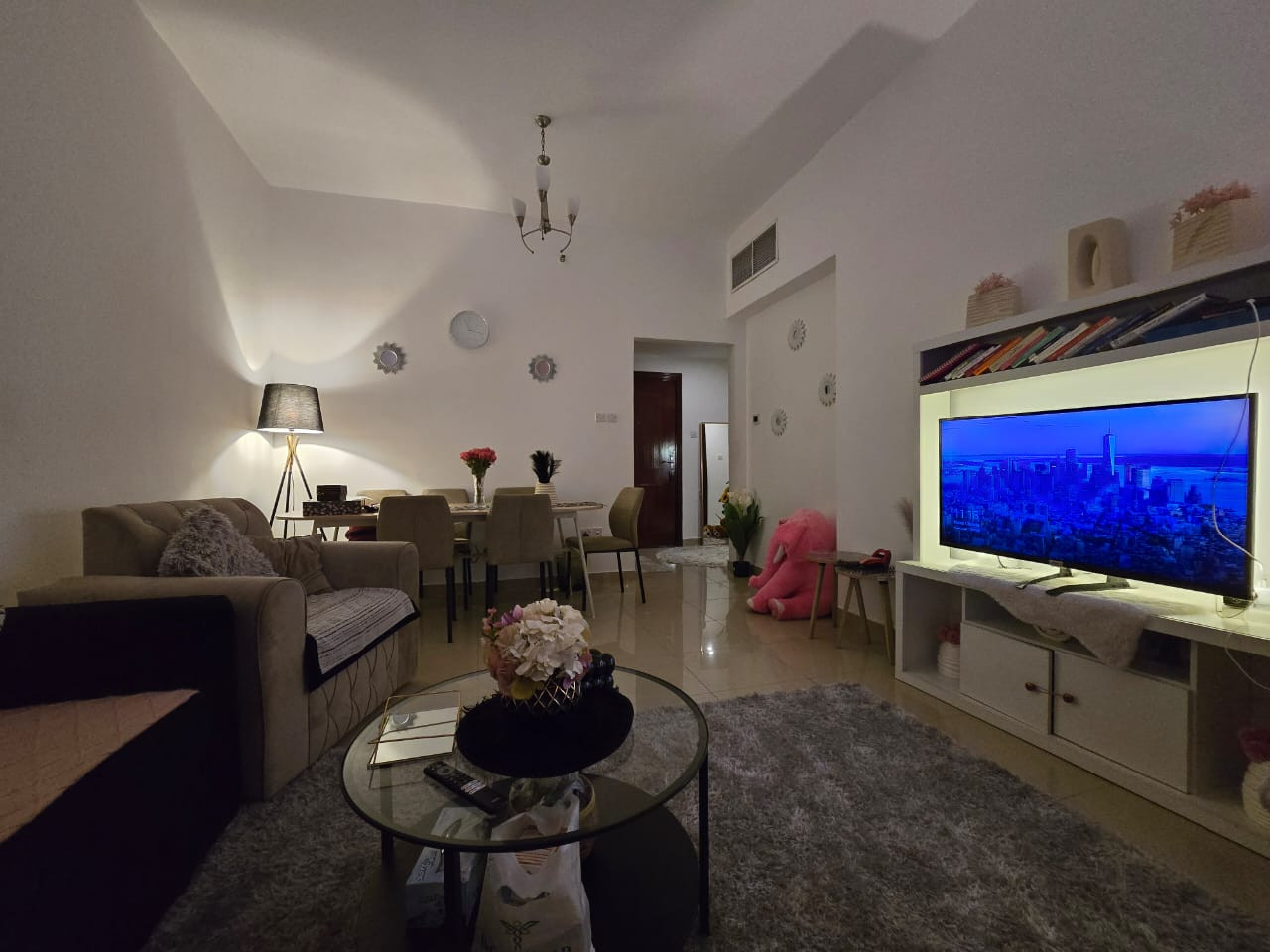 alshark01776870671.jpg
