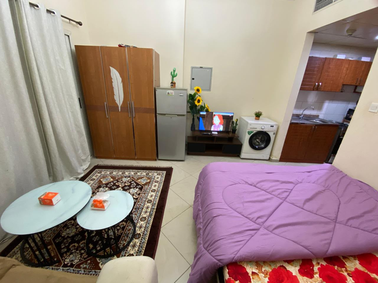 Furnished studio apartment, clean, separate kitchen with balcony