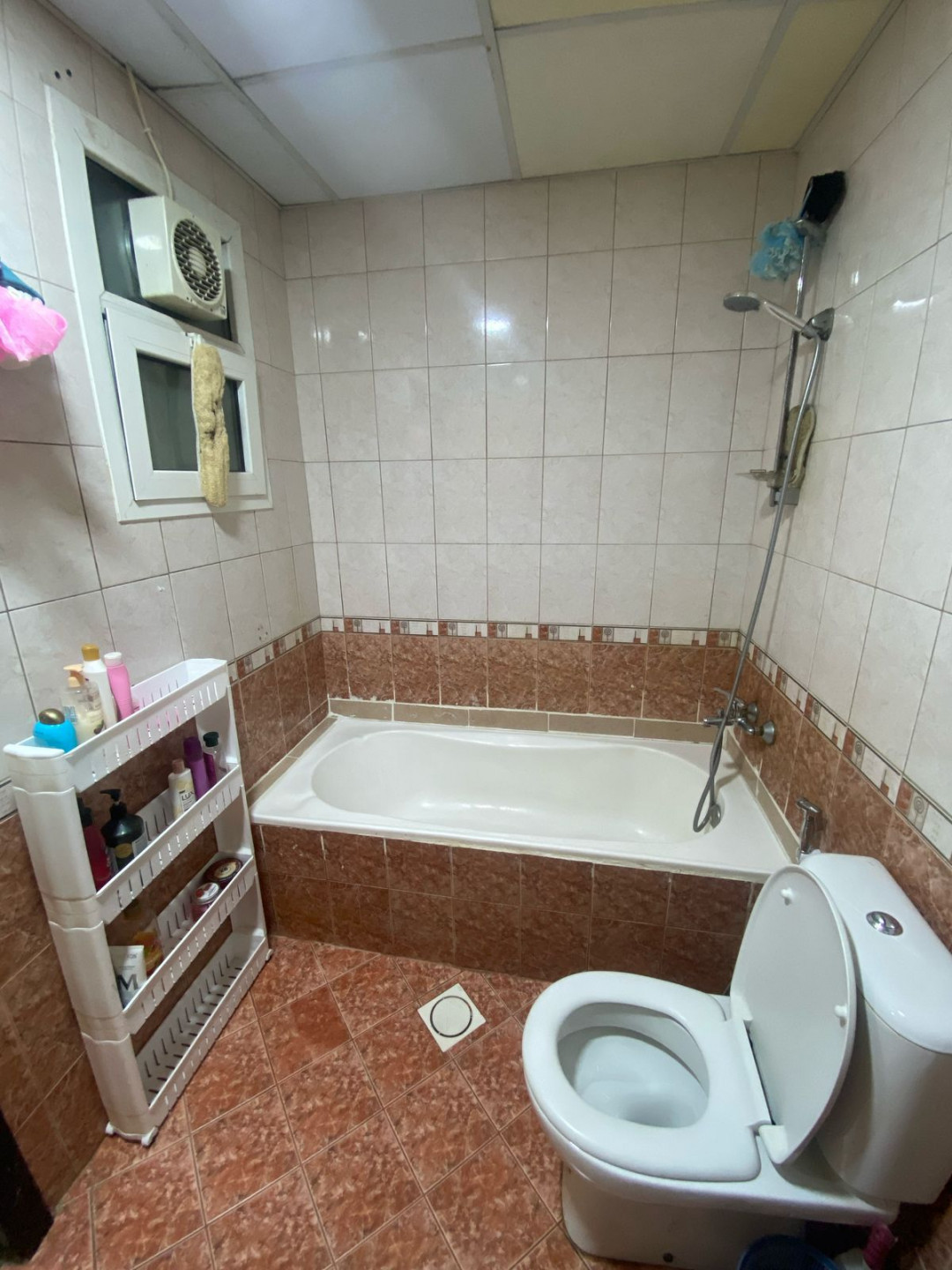 Girls' apartment in cooperation
