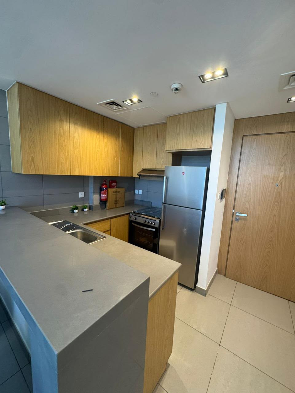 Luxurious and well-maintained apartment with a swimming pool and gym