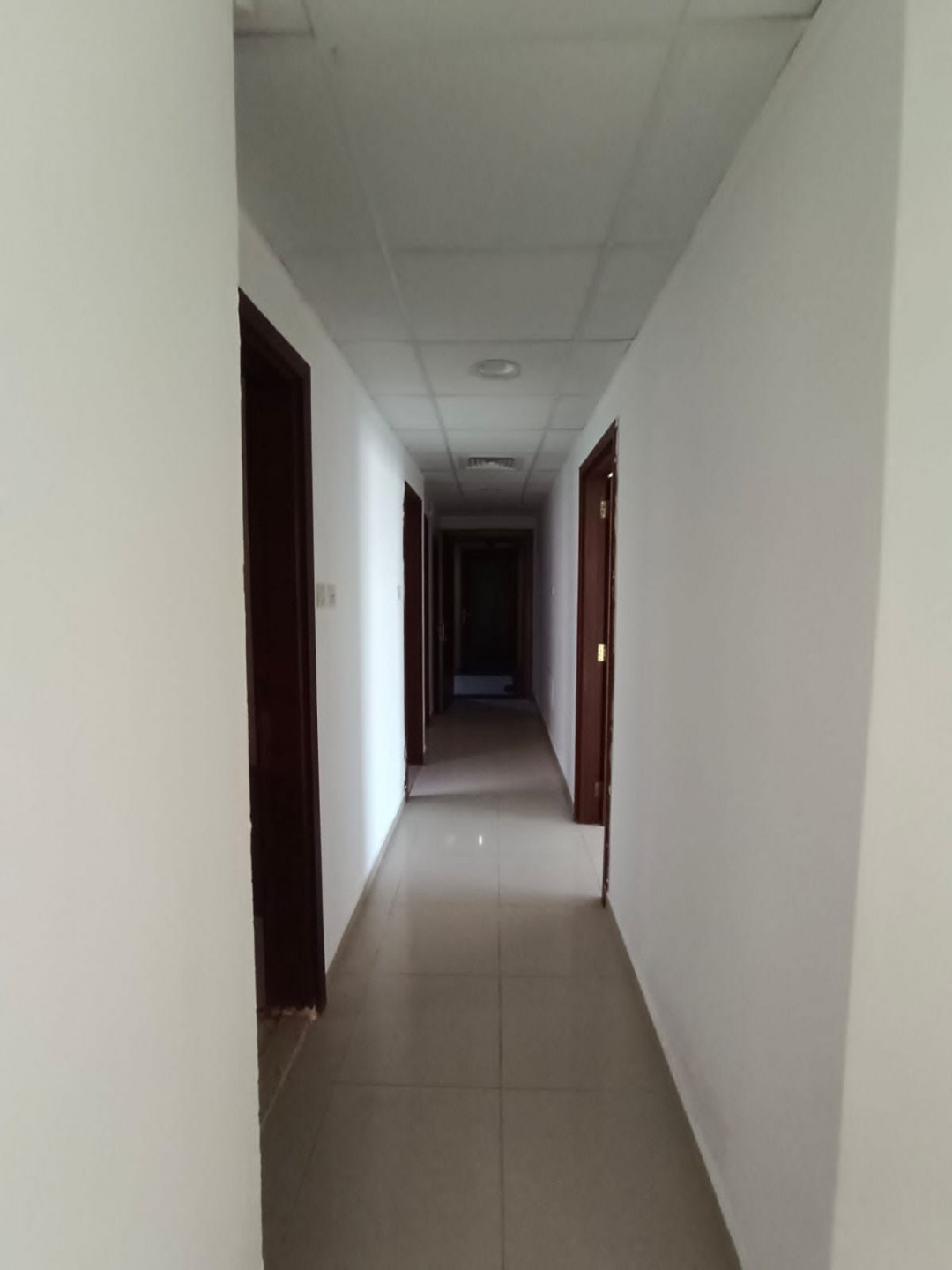 shkh-almgaz-261782151725.jpg