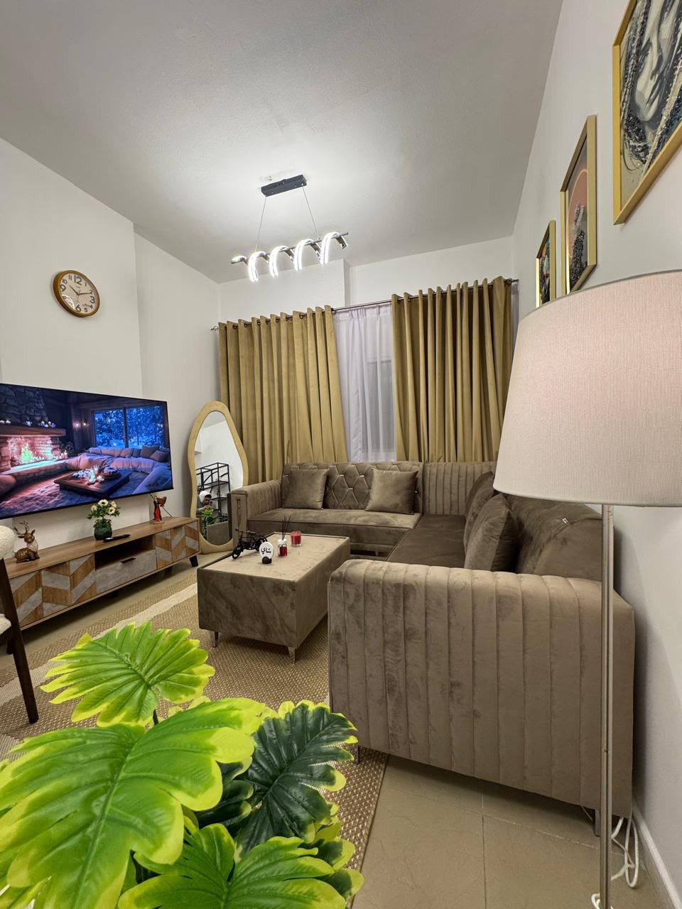 One-bedroom apartment for monthly rent