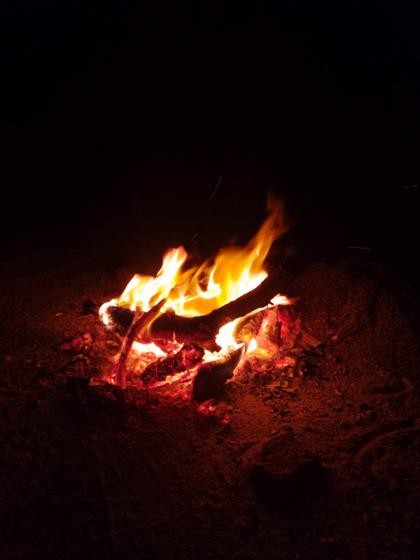 I enjoyed my night with friends on beach having some fresh fish.